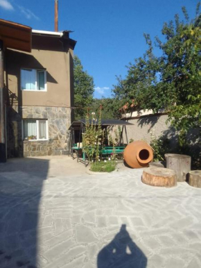 Borjomi Guesthouse Sadgeri